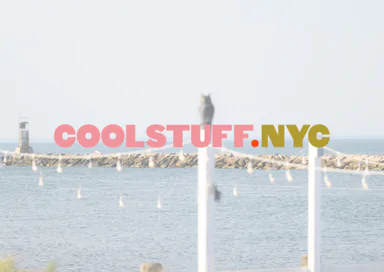 COOL STUFF - MONTAUK