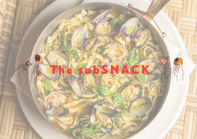 THE SUB SNACK - MONTAUK